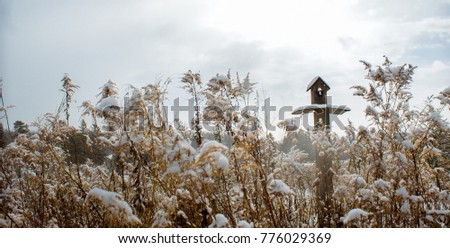 Snowy Bird House