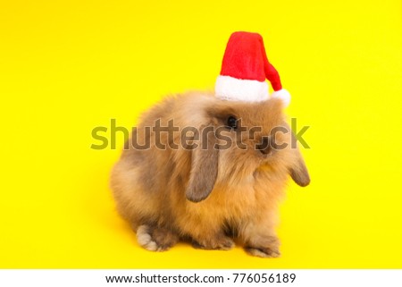 Christmas rabbit. Celebrate holiday with Christmas bunny.