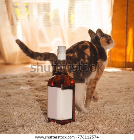 A cat next to a bottle of whiskey