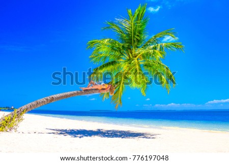Blond woman with bikini sunning on a palm tree on a sandy beach in the Maldives