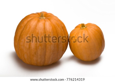 Two Large Pumpkins