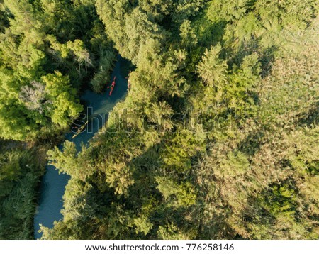 Birds eye view of Sea Kayaking in the Wilderness through a river in the forest