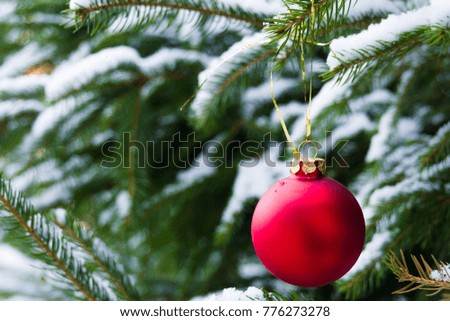 Red Christmas ball on Christmas tree.