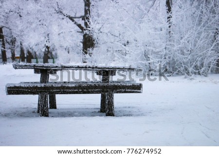 
various objects of the winter season and lanscape in the best of this wonderful period bench
