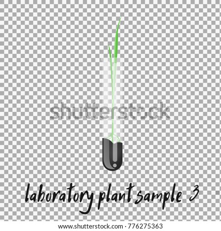 laboratory plant sample vector on transparent background. Laboratory glassware with soil and plant. Flat design illustration on color background. - stock vector