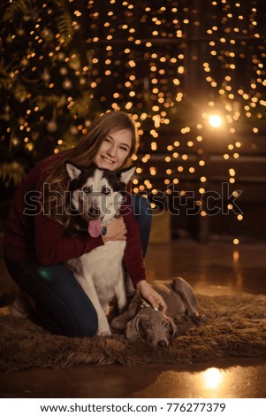 Cute girl in the new year with a dog Christmas
