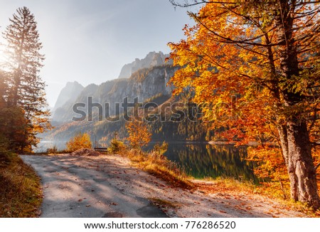 Wonderful Sunny Day. Amazing Hight mountain Lake Vorderer, Gosausee.  Autumn Colorful Trees Glow Under Sunlight. Populap Touristic Location. impressively beautiful sunset. Picture of wild area. 