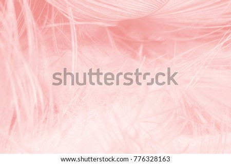 Beautiful Coral Pink vintage color trends feather texture background