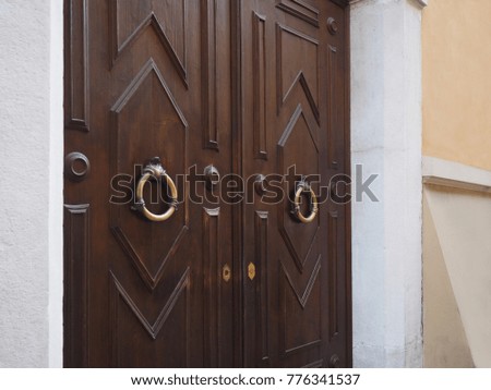 Elegant wooden door with golden round handles.
