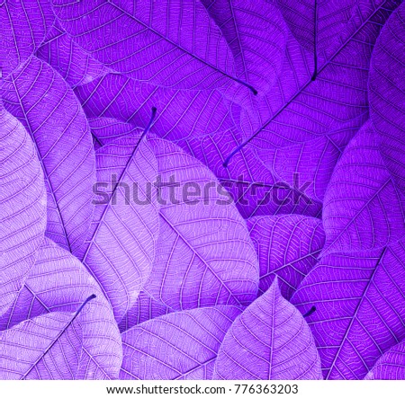 purple Leaves background