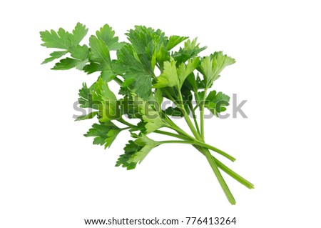 Parsley isolated on a white background with a clipping path Royalty-Free Stock Photo #776413264