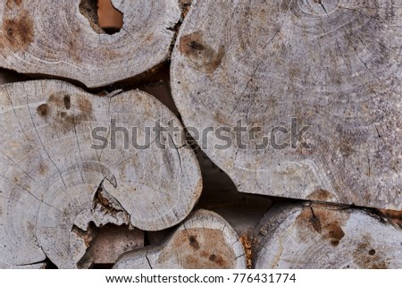 Eco natural wooden decor of tree light brown round stumps wallpaper.  Wood face cut texture pattern background. Round teak wood stump background can use as wallpaper. Tree stumps, natural wood.