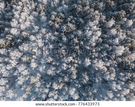 Beautiful panoramic photo over the tops of frosty forest, Aerial view. From above. Picture taken using the copter. Top view