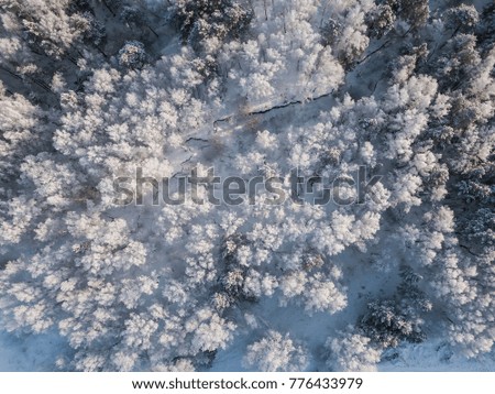 Aerial landscape of winter frosty forest
