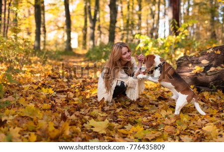 Young beautiful girl with beagle in autumn park. 