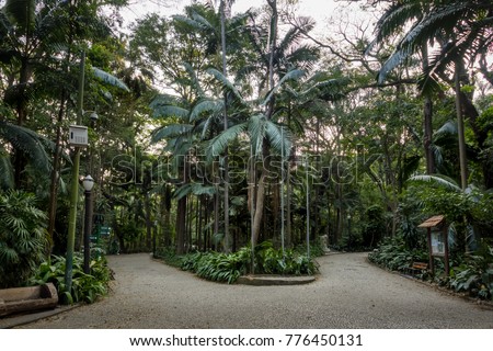 Trianon Park at Paulista Avenue - Sao Paulo, Brazil Royalty-Free Stock Photo #776450131