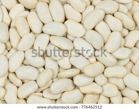 Dried White Healthy Cannellini Beans Cooking Ingredients