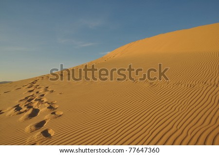 Landscape of Desert in Vietnam