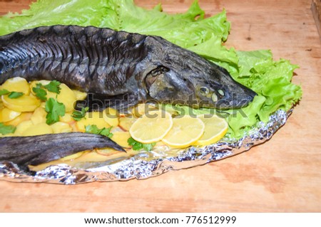 large baked Russian sturgeon with caviar and lettuce leaves on a wooden background