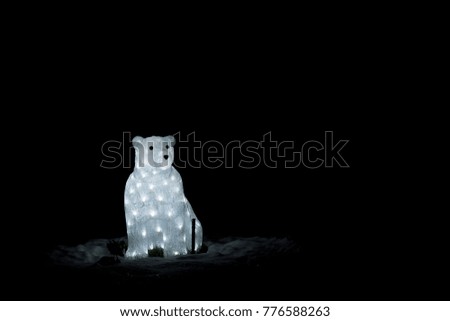 The Lights of Bear