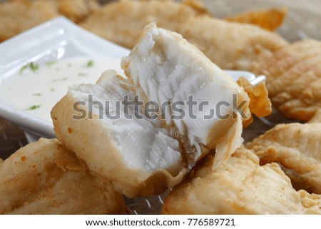 Breaded fish with white sauce