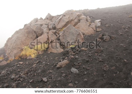 Moss on the Etna volcano. The Etna volcano crater. Black Volcanic Earth, Volcanic Lava and Stones.  Dense Fog on Mount Etna. Place for Text. The island of Sicily, Italy.