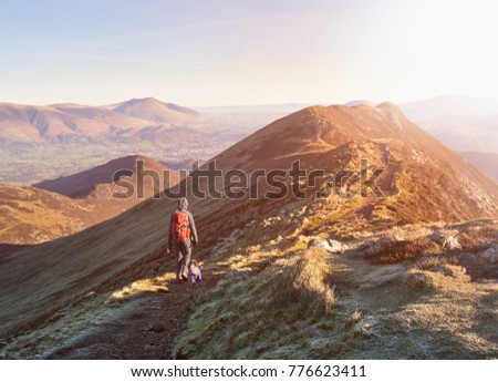 A hiker and their dog walking down the mountain ridge of Scar Crags and Causey Pike with the early morning sun in the English Lake District, UK. Royalty-Free Stock Photo #776623411