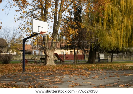 Park and basketball court covered with falling golden leaves and children playground under colorful trees