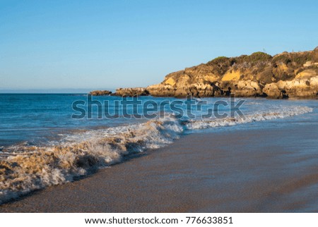Sea waves on a beach ocean background in sunny day.