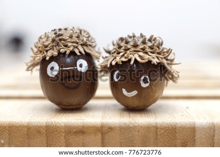 Picture of an acorn couple