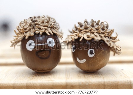 Picture of an acorn couple