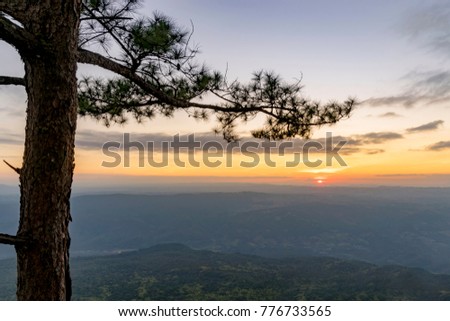 landscape picture of Phu Kradueng National Park Thailand , Thailand