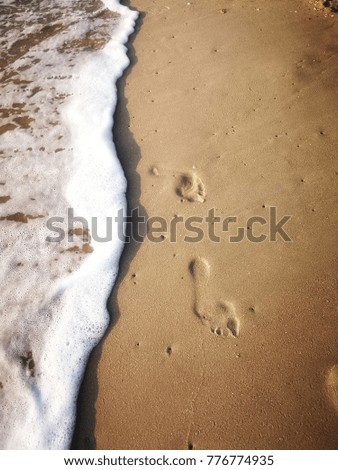Footprints Walking on the sand by the sea