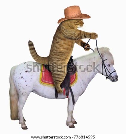 The cat cowboy in a hat is riding a horse. White background.