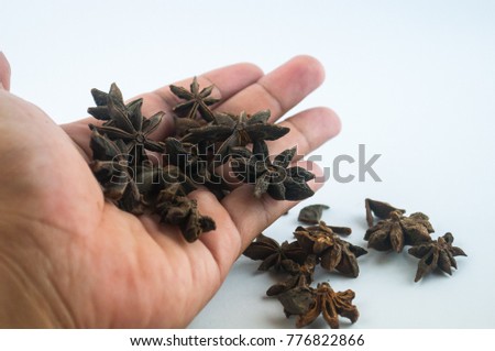 Star anise or bunga lawang on white background