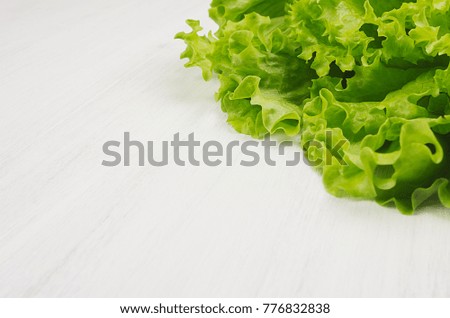 Fresh leaves green salad closeup on white wood background, copy space.