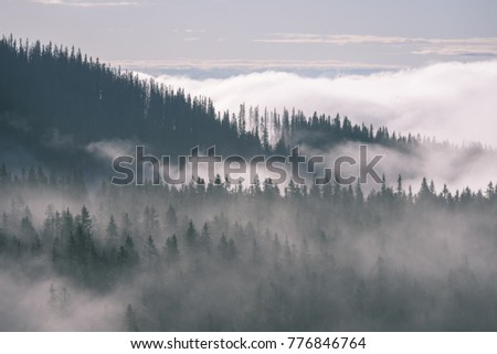 mist covered mountains with forest trees and blue sky and tourist trails in slovakia - vintage film look