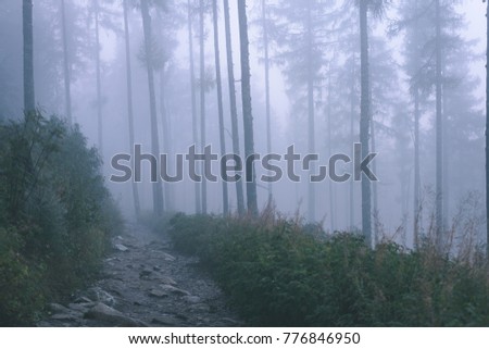 panoramic view of of mountains in misty forest. far horizon. - vintage retro