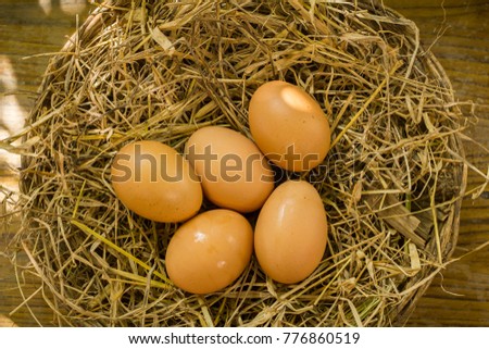 Top view of group of eggs on the straw that is on the wooden table, Beautiful nest picture that there are five egg on the nest for web design or trader or business