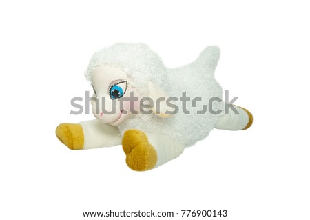 Soft toy. A small white, curly lamb. Isolated on white background.