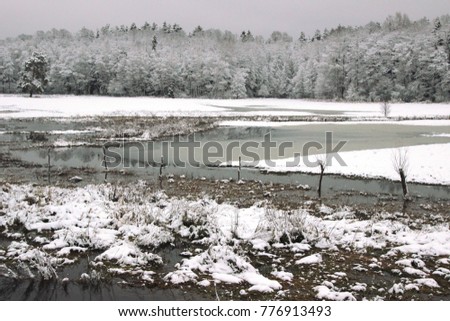 Thaw in the meadows. Spilled winter river. Landscape park of the Knyszyn forest.