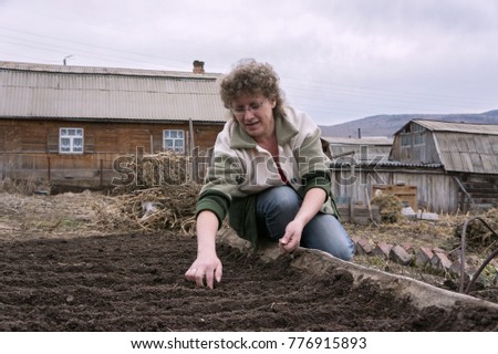 The woman sows the seeds in the ridge in the garden, against the background of the village.
