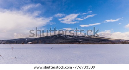 Snowy field with a fir tree hill, snow level taken picture, Transylvania, Romania
