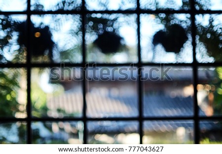 blurred silhouette fern in pot hanging behind the glass window