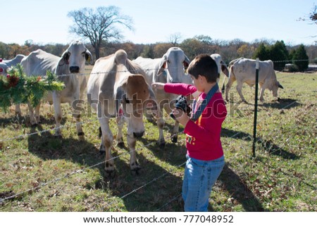 Child Taking Pictures of Livestock
