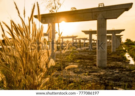 Beautiful grass In the evening light at sunset. The rear is the structure of the various roads that are currently under construction.