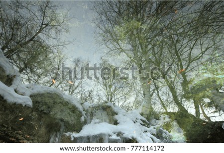 winter landscape reflected in the water of the forest pond ice-free