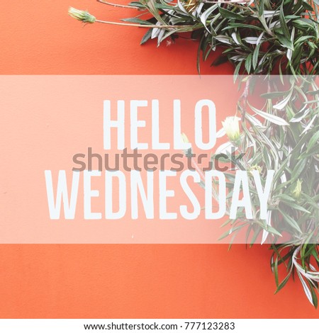 Hello Wednesday text on orange background with creeper, fresh good morning text, vintage style