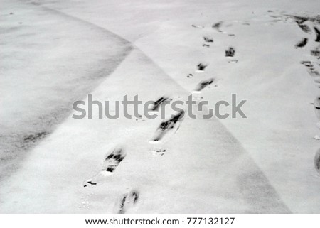 Traces on white snow, ice. Winter holiday background
