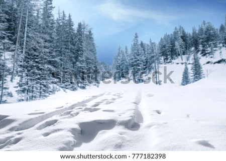 Winter orad background and free space for your decoration 